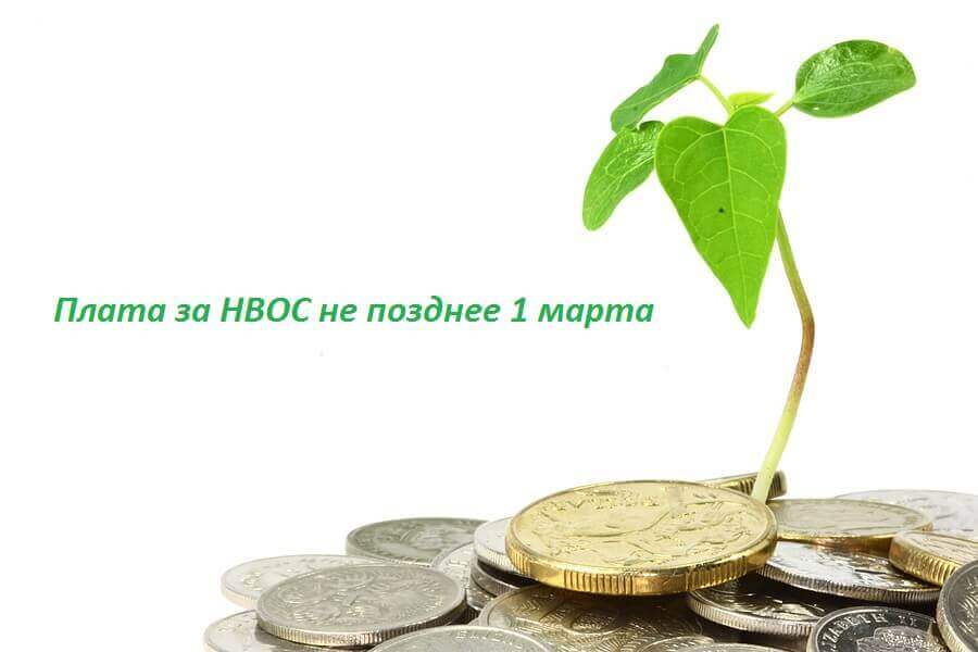 Подходит к концу срок оплаты за НВОС
